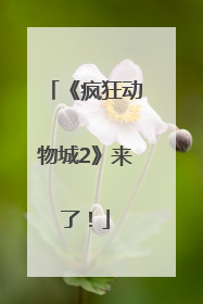 《疯狂动物城2》来了！