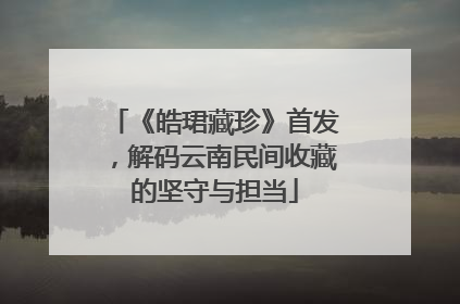 《皓珺藏珍》首发，解码云南民间收藏的坚守与担当