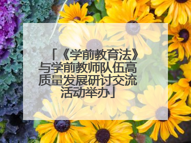 《学前教育法》与学前教师队伍高质量发展研讨交流活动举办