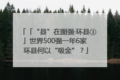 「“县”在图强·环县③」世界500强一年6家 环县何以“吸金”？