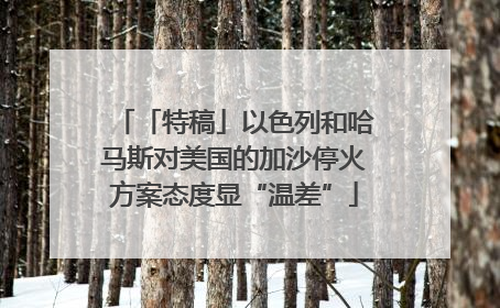 「特稿」以色列和哈马斯对美国的加沙停火方案态度显“温差”
