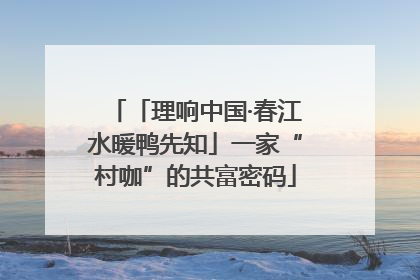 「理响中国·春江水暖鸭先知」一家“村咖”的共富密码