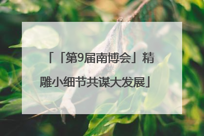 「第9届南博会」精雕小细节共谋大发展