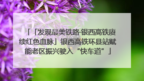 「发现最美铁路·银西高铁赓续红色血脉」银西高铁环县站赋能老区振兴驶入“快车道”
