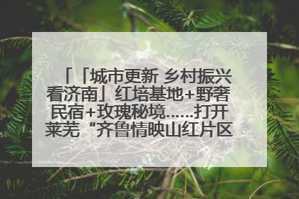 「城市更新 乡村振兴看济南」红培基地+野奢民宿+玫瑰秘境……打开莱芜“齐鲁情映山红片区”的破圈秘籍