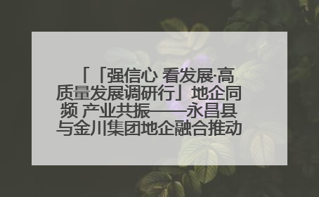 「强信心 看发展·高质量发展调研行」地企同频 产业共振——永昌县与金川集团地企融合推动重大项目建设