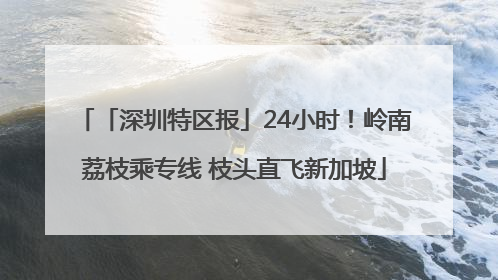 「深圳特区报」24小时！岭南荔枝乘专线 枝头直飞新加坡