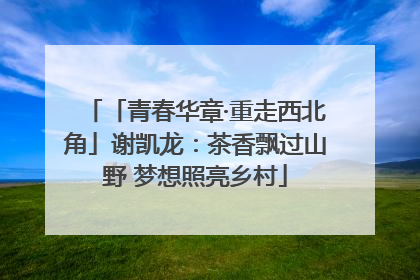 「青春华章·重走西北角」谢凯龙：茶香飘过山野 梦想照亮乡村