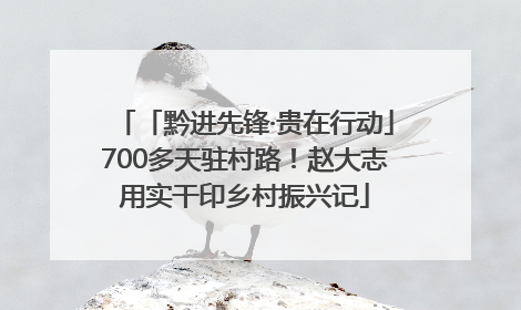「黔进先锋·贵在行动」700多天驻村路！赵大志用实干印乡村振兴记