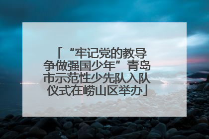 “牢记党的教导 争做强国少年”青岛市示范性少先队入队仪式在崂山区举办