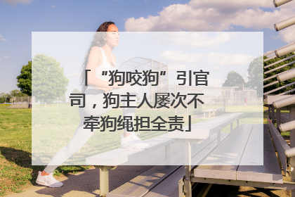 “狗咬狗”引官司，狗主人屡次不牵狗绳担全责