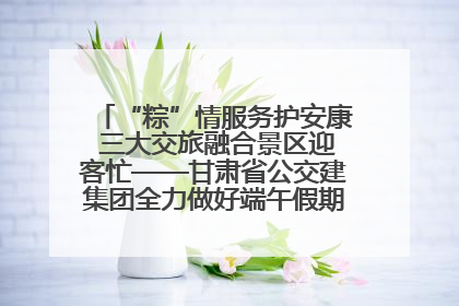 “粽”情服务护安康 三大交旅融合景区迎客忙——甘肃省公交建集团全力做好端午假期景区运营工作