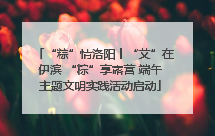 “粽”情洛阳丨“艾”在伊滨 “粽”享露营 端午主题文明实践活动启动