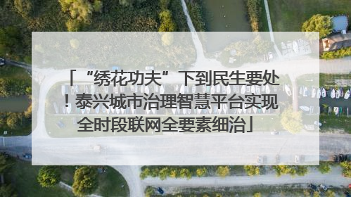 “绣花功夫”下到民生要处！泰兴城市治理智慧平台实现全时段联网全要素细治