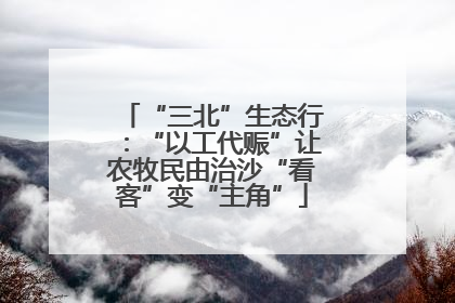 “三北”生态行：“以工代赈”让农牧民由治沙“看客”变“主角”