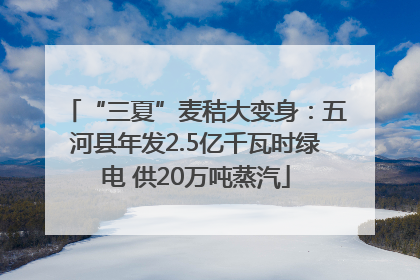 “三夏”麦秸大变身：五河县年发2.5亿千瓦时绿电 供20万吨蒸汽