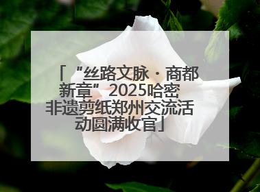 “丝路文脉・商都新章”2025哈密非遗剪纸郑州交流活动圆满收官