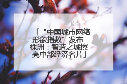 “中国城市网络形象指数”发布 株洲：智造之城擦亮中部经济名片
