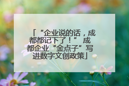 “企业说的话，成都都记下了！” 成都企业“金点子”写进数字文创政策