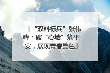 “双料标兵”张伟峰：破“心墙”筑平安，展现青春警色