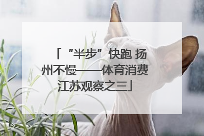 “半步”快跑 扬州不慢——体育消费江苏观察之三