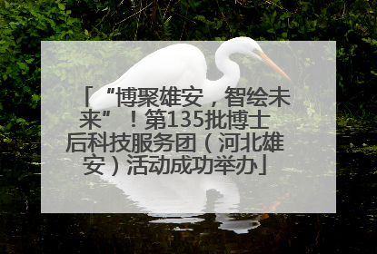 “博聚雄安，智绘未来”！第135批博士后科技服务团（河北雄安）活动成功举办
