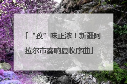“孜”味正浓！新疆阿拉尔市奏响夏收序曲