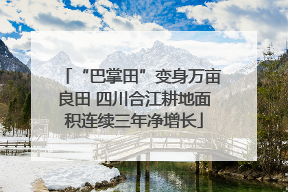 “巴掌田”变身万亩良田 四川合江耕地面积连续三年净增长