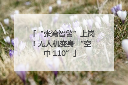 “张湾智警”上岗！无人机变身 “空中 110”