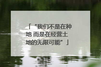 “我们不是在种地 而是在经营土地的无限可能”