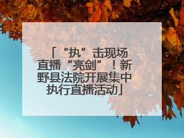 “执”击现场 直播“亮剑”！新野县法院开展集中执行直播活动