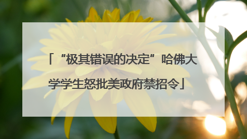 “极其错误的决定”哈佛大学学生怒批美政府禁招令