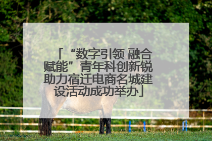 “数字引领 融合赋能”青年科创新锐助力宿迁电商名城建设活动成功举办