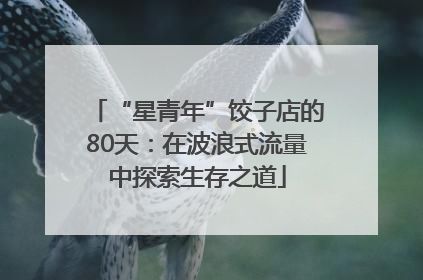 “星青年”饺子店的80天：在波浪式流量中探索生存之道