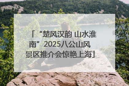 “楚风汉韵 山水淮南”2025八公山风景区推介会惊艳上海