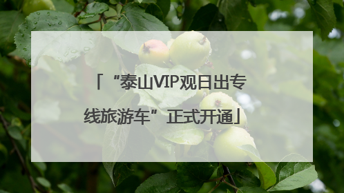 “泰山VIP观日出专线旅游车”正式开通