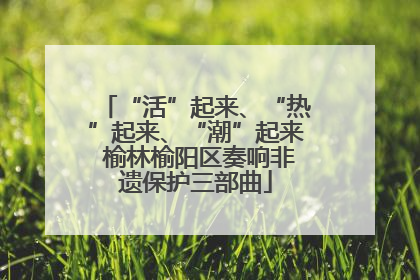 “活”起来、“热”起来、“潮”起来 榆林榆阳区奏响非遗保护三部曲