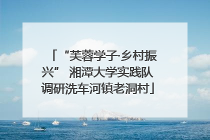 “芙蓉学子·乡村振兴” 湘潭大学实践队调研洗车河镇老洞村