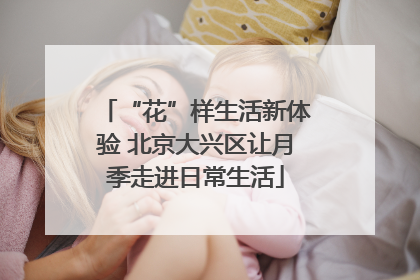 “花”样生活新体验 北京大兴区让月季走进日常生活