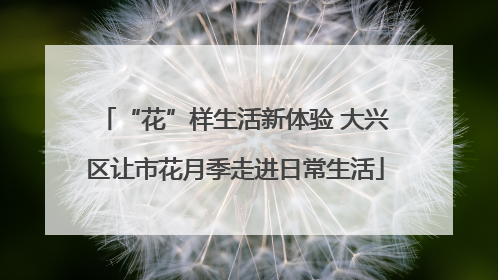 “花”样生活新体验 大兴区让市花月季走进日常生活