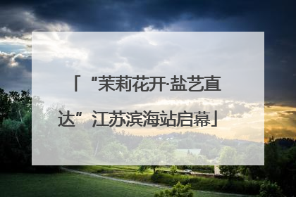“茉莉花开·盐艺直达”江苏滨海站启幕
