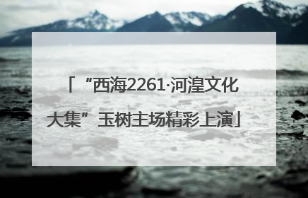 “西海2261·河湟文化大集”玉树主场精彩上演