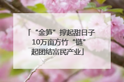 “金笋”撑起甜日子 10万亩方竹“链”起团结富民产业