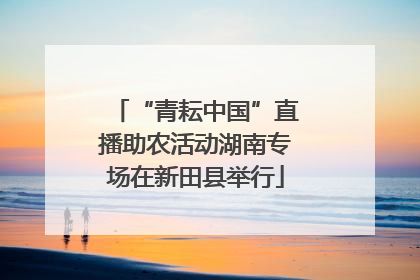 “青耘中国”直播助农活动湖南专场在新田县举行