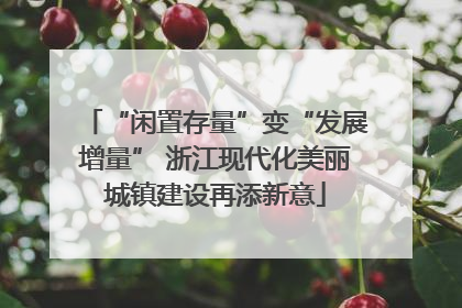 “闲置存量”变“发展增量” 浙江现代化美丽城镇建设再添新意