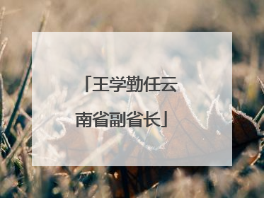 王学勤任云南省副省长