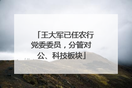 王大军已任农行党委委员，分管对公、科技板块