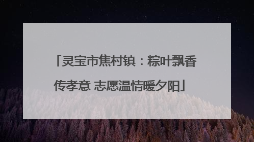灵宝市焦村镇：粽叶飘香传孝意 志愿温情暖夕阳