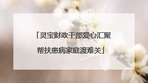 灵宝财政干部爱心汇聚 帮扶患病家庭渡难关