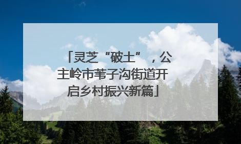 灵芝“破土”，公主岭市苇子沟街道开启乡村振兴新篇